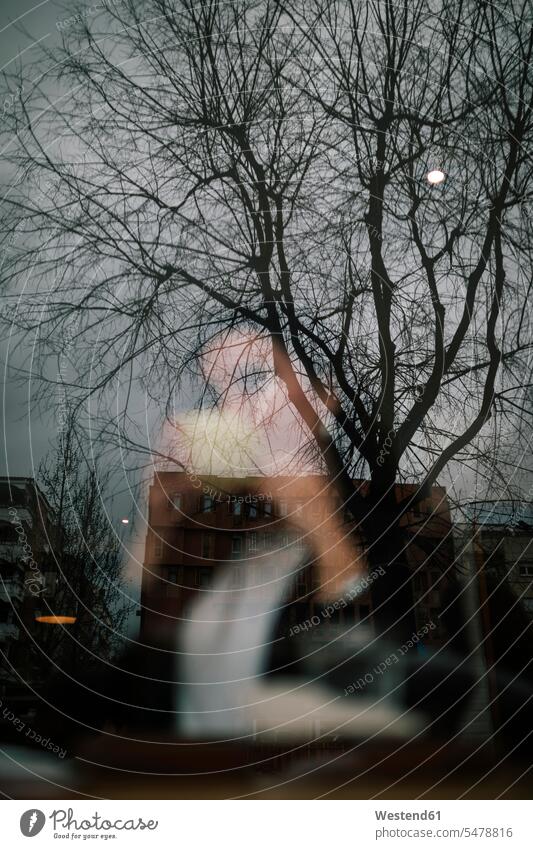 Reflection of buildings and bald tree on windowpane of a coffee shop with woman in the background windows panes window glass window glasses Window Pane