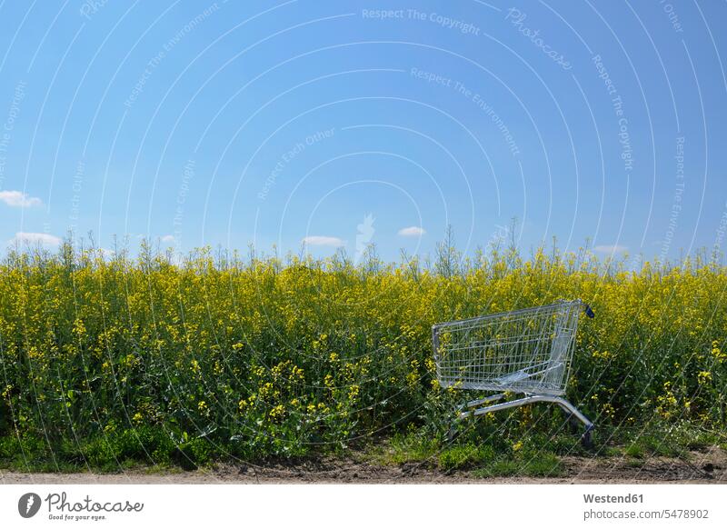Empty shopping cart standing at edge of oilseed rape field in spring outdoors location shots outdoor shot outdoor shots day daylight shot daylight shots