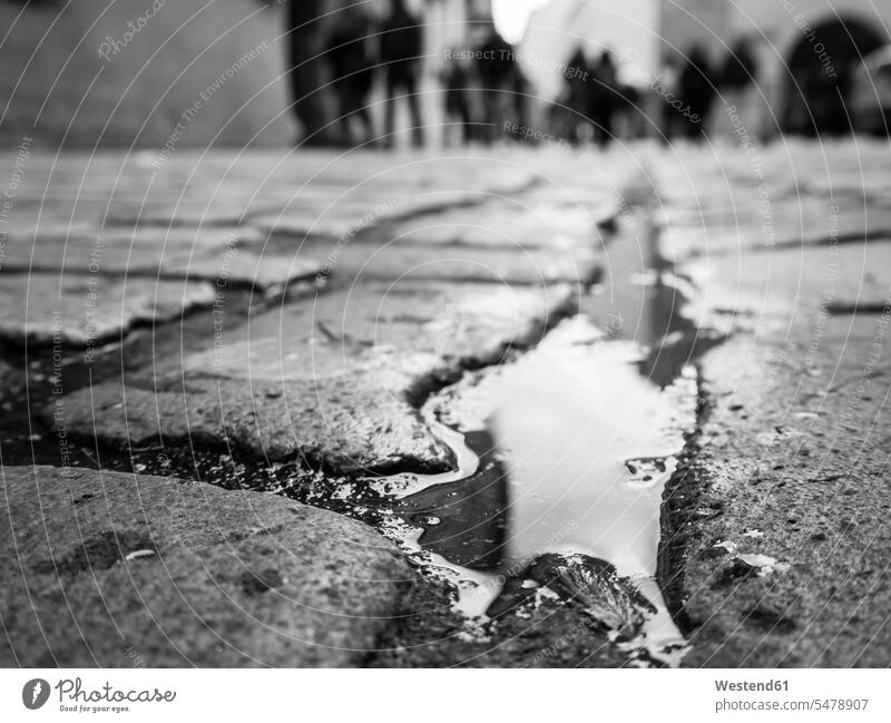 Puddle on cobblestone street Black and White bw Black And White Image outdoors location shots outdoor shot outdoor shots day daylight shot daylight shots