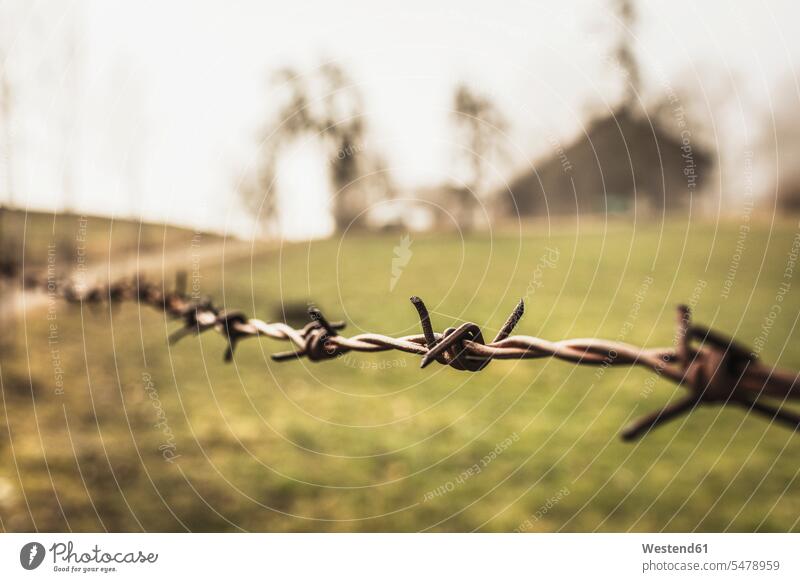 Old barbed wire fence with farmhouse in background confined fences Cultivated Land grasslands grazing land pastureland pastures natural world barb wire