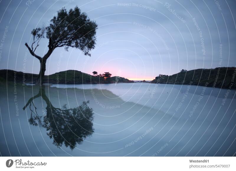 Spain, Cadaques, Costa Brava, water reflection of tree at dawn morning in the morning copy space beauty of nature beauty in nature tranquility tranquillity