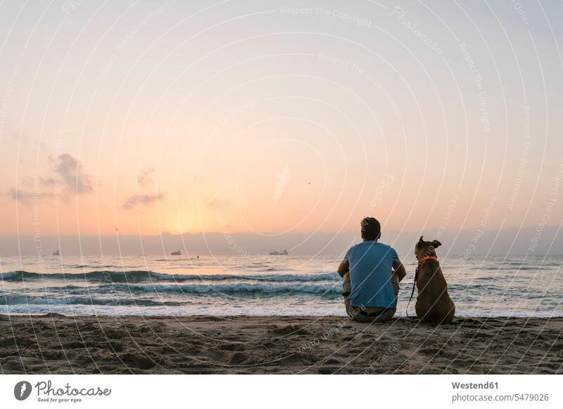 Man with his dog sitting on beach sand at dawn color image colour image outdoors location shots outdoor shot outdoor shots casual clothing casual wear