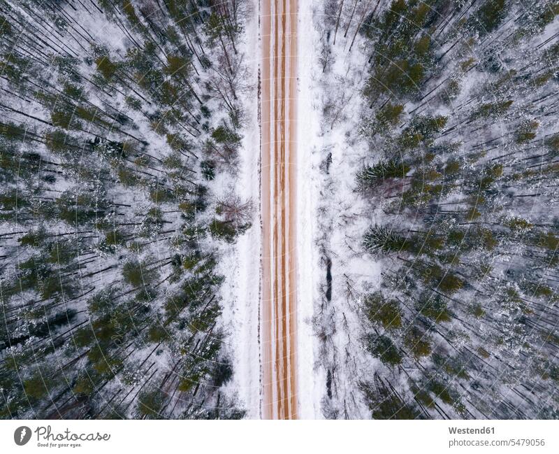 Russia, Leningrad region, Aerial view of road crossing forest in Winter Leningrad Oblast Leningrad Region Russian Federation outdoors location shots
