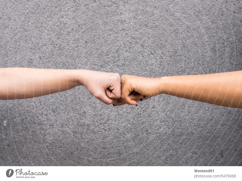 Arms of two young women fist bumping against gray background grey plain background cut out cutout coloured background colored background studio shot
