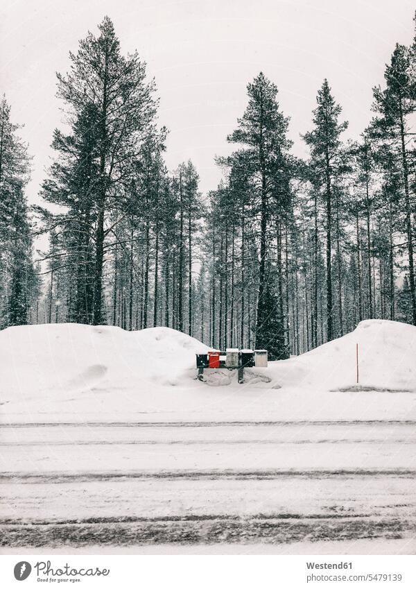 Finland, Lapland, heavy snowfall and mailboxes at the roadside atmosphere atmospheric mood moody Atmospheric Mood Vibe Idyllic snowing cold Cold Weather