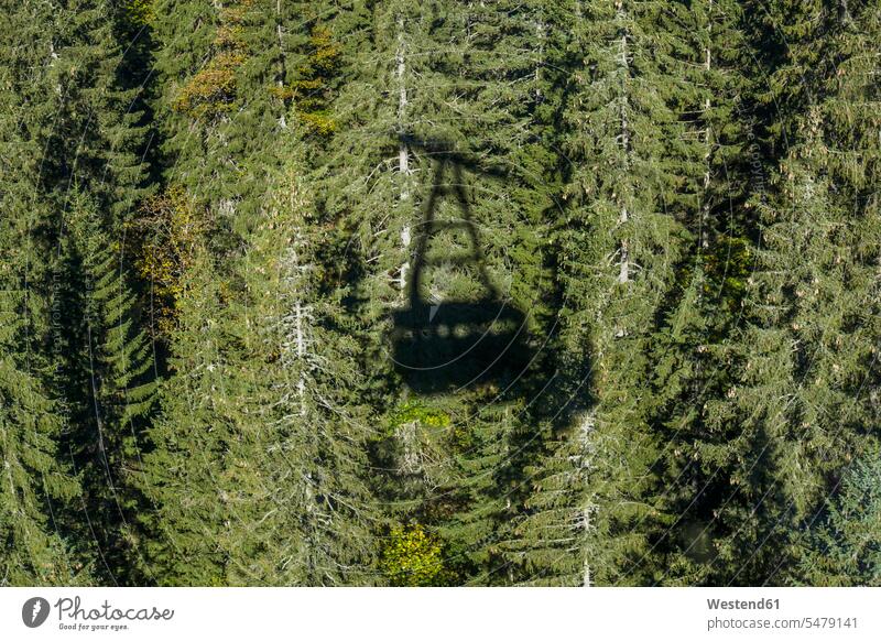 Shadow of gondola lift beauty of nature beauty in nature gondola cableway copy space tourism touristic forest woods forests cable car shadow shadows Shades