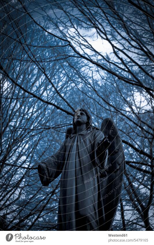 Germany, Cologne, Statue of angel at Melatenfriedhof Memory memories mystery mysterious devotion devoted Tranquility bare tree bare trees color image