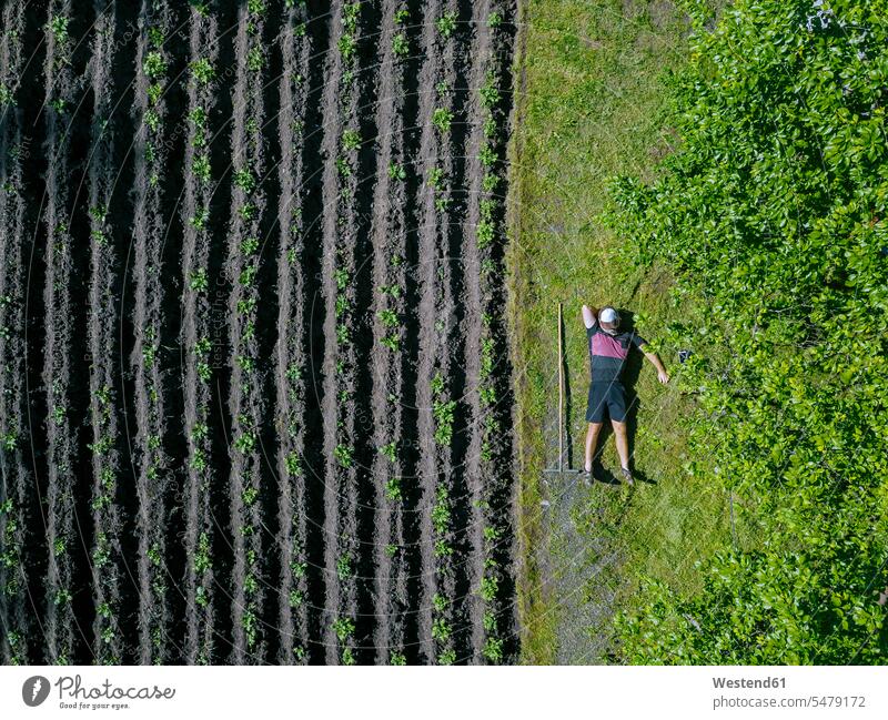 Aerial view of man relaxing beside potato field free time leisure time floor land Fields Plants agricultural crop agricultural crops economic plant