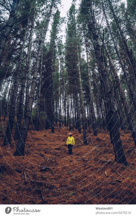 Man standing in forest, Spain explore exploring on the go on the road on the way solitary solo forests wood woods location shot location shots outdoor