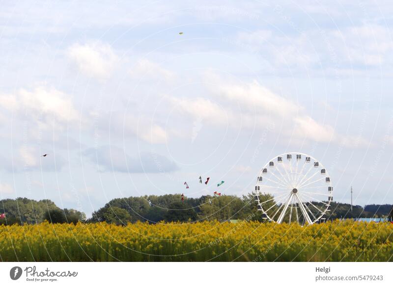 Ferris wheel and flying stunt kites behind flower field against blue sky with clouds Kite Kite festival Field Flowering Field Tree shrub Nature Sky Clouds