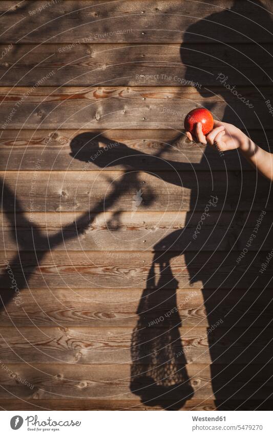 Girl holding apple by shadow on wooden wall color image colour image ecology environmental issues environment and nature protection Environmental Issue