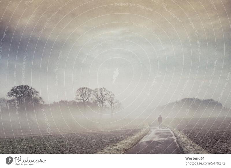 Gernany, North Rhine-Westphalia, Silhouette of a man standing on foggy country road Contemplation reflection Contemplating contemplate thinking mystery