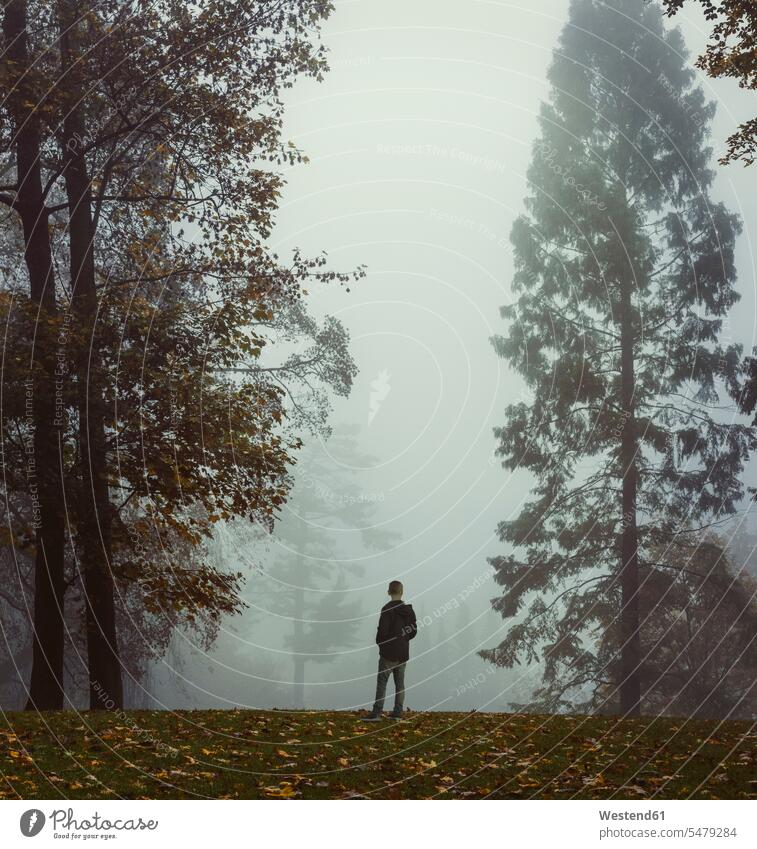 Germany, North Rhine-Westphalia, Wuppertal, Man standing in misty autumn forest outdoors location shots outdoor shot outdoor shots day daylight shot