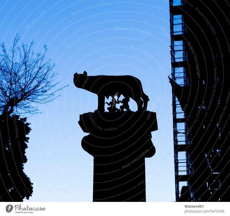 Italy, Rome, sculpture of Romulus and Remus wolf grey wolf gray wolf wolves canis lupus copy space journey travelling voyage silhouette silhouettes clear sky
