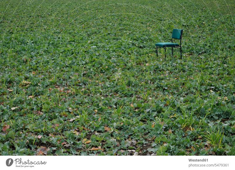 Germany, View of green chair in field single object 1 one copy space Absence Absent Tranquility color image colour image day daytime daylight shot day shots