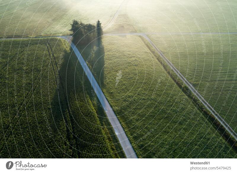 Germany, Bavaria, Drone view of green countryside fields at foggy dawn outdoors location shots outdoor shot outdoor shots aerial view bird's eye view