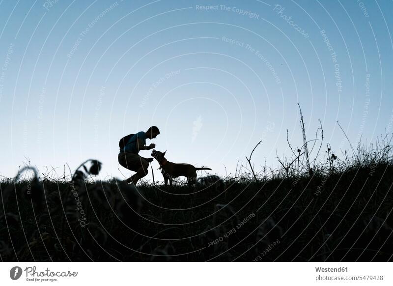 Man playing with his dog in the nature light at dawn color image colour image outdoors location shots outdoor shot outdoor shots one animal 1 single animal