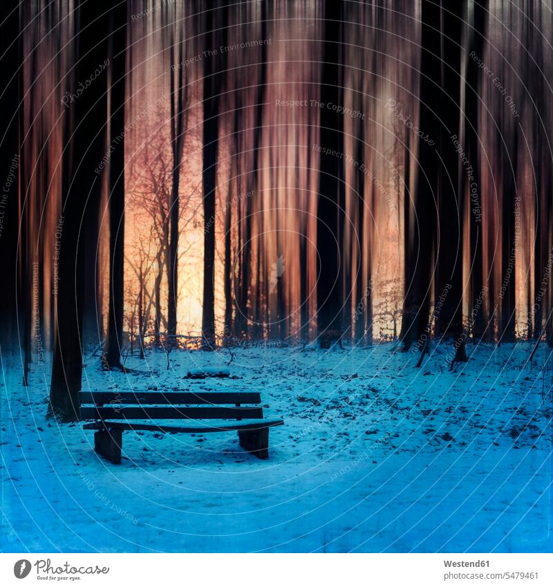 Bench covered with snow against tree silhouette during sunset color image colour image outdoors location shots outdoor shot outdoor shots sunsets sundown
