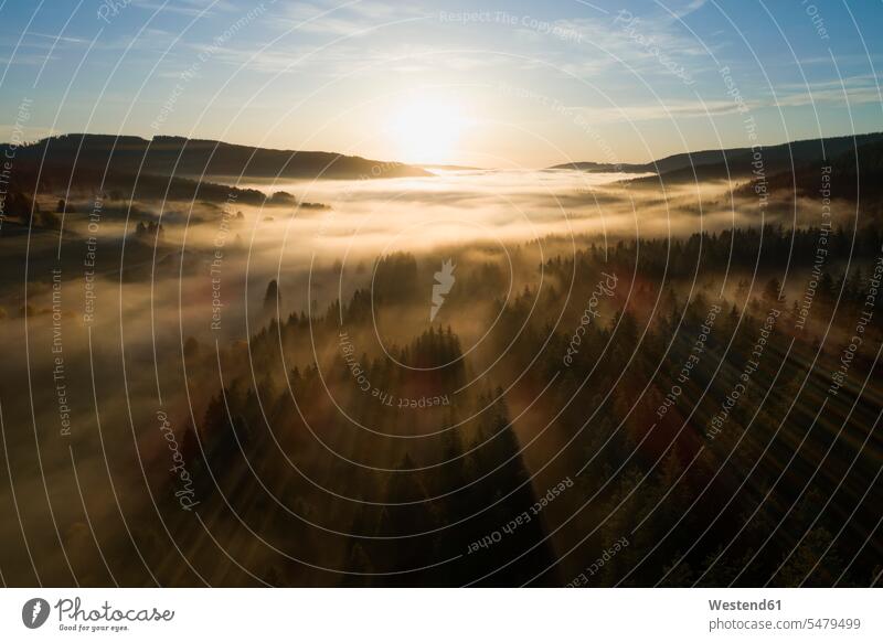 Germany, Baden-Wurttemberg, Drone view of Schluchsee lake shrouded in thick fog at sunrise outdoors location shots outdoor shot outdoor shots aerial view