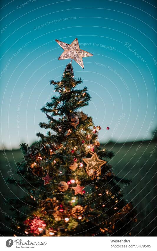 Close-up of Christmas tree with star shaped topper against clear sky at dusk color image colour image Spain outdoors location shots outdoor shot outdoor shots