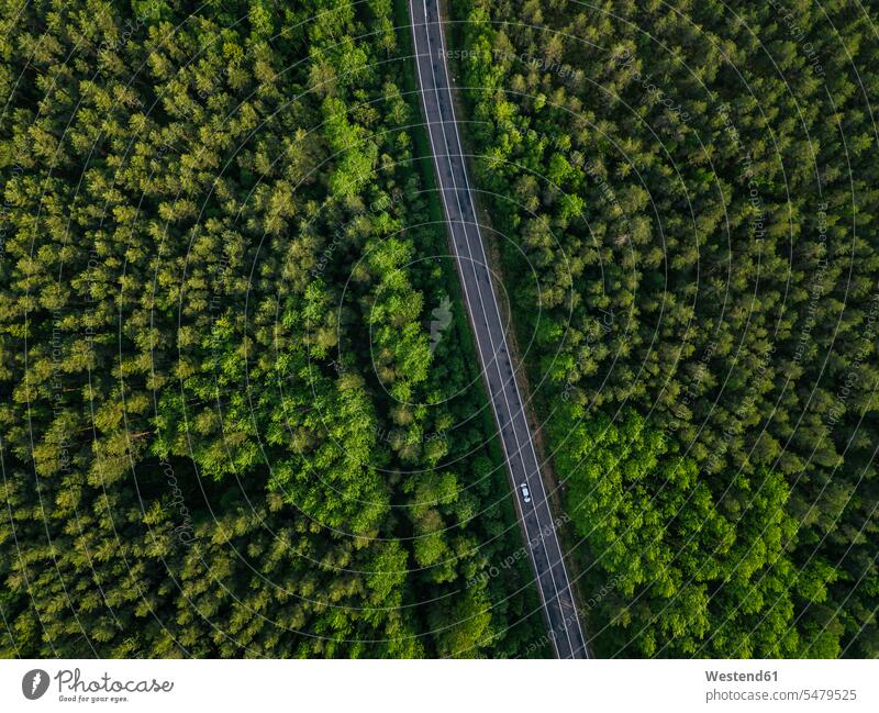Russia, Leningrad Oblast, Tikhvin, Aerial view of asphalt road cutting through vast green forest outdoors location shots outdoor shot outdoor shots day