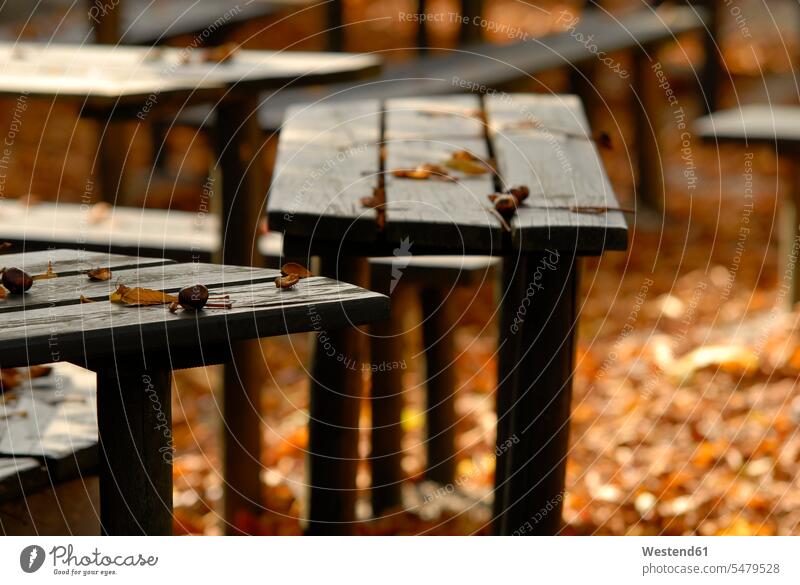 Germany, Bavaria, Wood benches in beer garden focus on foreground blurred focus on the foreground Absence Absent autumn leaf autumn leaves garden bench