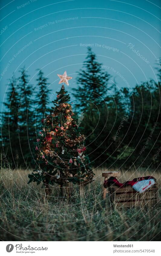Illuminated Christmas tree on grassy land against clear sky at dusk color image colour image Spain outdoors location shots outdoor shot outdoor shots X mas