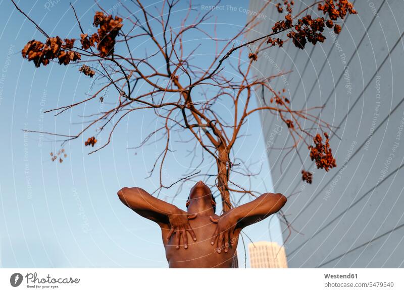 Shirtless male dancer practicing against bare tree outdoors location shots outdoor shot outdoor shots color image colour image sunset sunsets sundown atmosphere