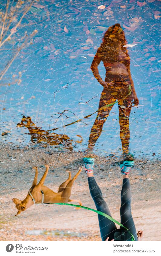 Reflection of woman and dog in puddle color image colour image outdoors location shots outdoor shot outdoor shots day daylight shot daylight shots day shots