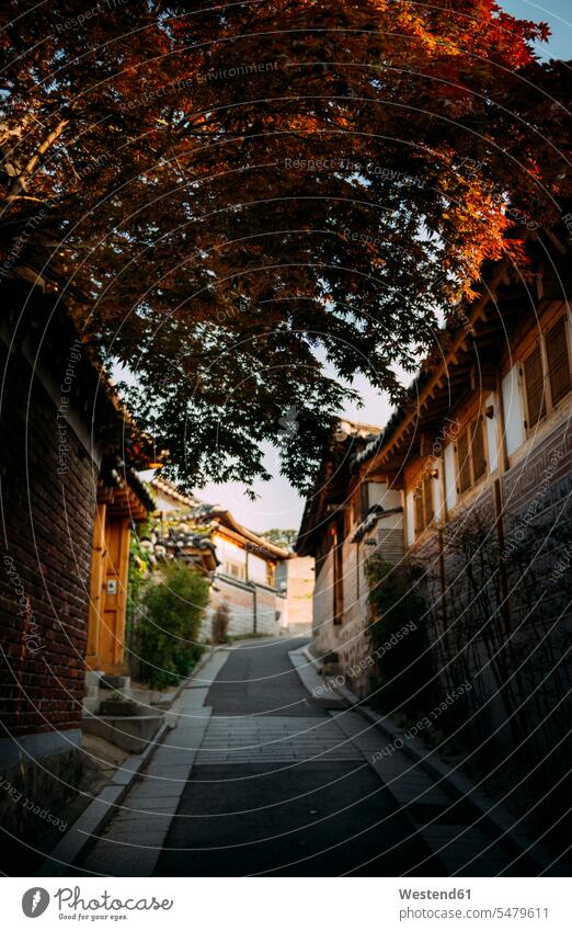 Alley with traditional houses, Bukchon Hanok Village, Seoul, South Korea in the evening Late Evening building buildings built structures home