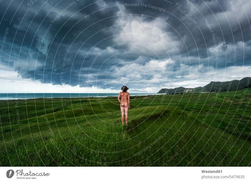 New Zealand, North Island, Rear view of naked man looking at storm cloud over blue sea Gisborne District East Cape Wanderlust Itchy Feet outdoors location shots