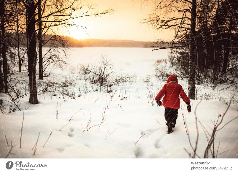 Finland, Kuopio, toddler girl walking in winter landscape at sunset lonely reclusive reclusively glove gloves Moody Sky rear view back view view from the back