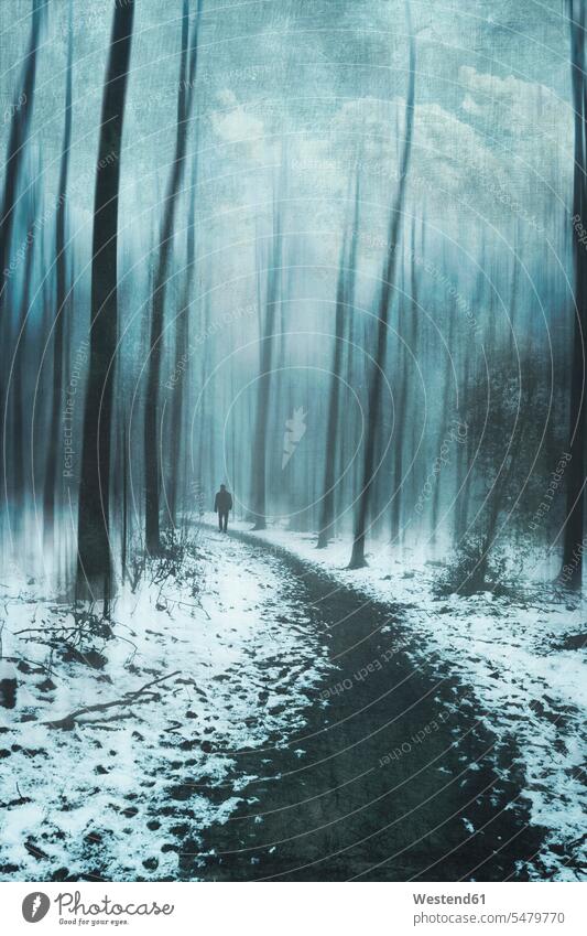 Man walking on forest path in snow color image colour image outdoors location shots outdoor shot outdoor shots day daylight shot daylight shots day shots