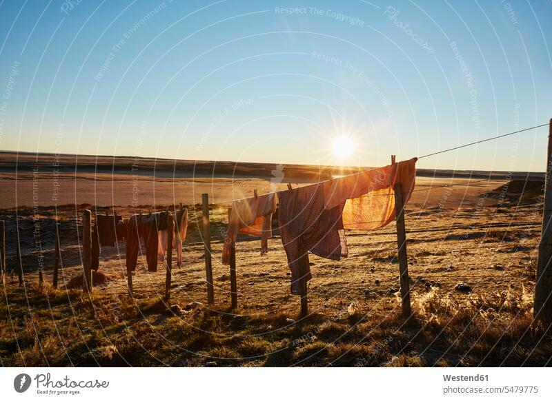 Chile, Tierra del Fuego, clothes hanging out to dry on a clothesline of an Estancia Apparel View Vista Look-Out outlook clothing nature natural world Lens Flare