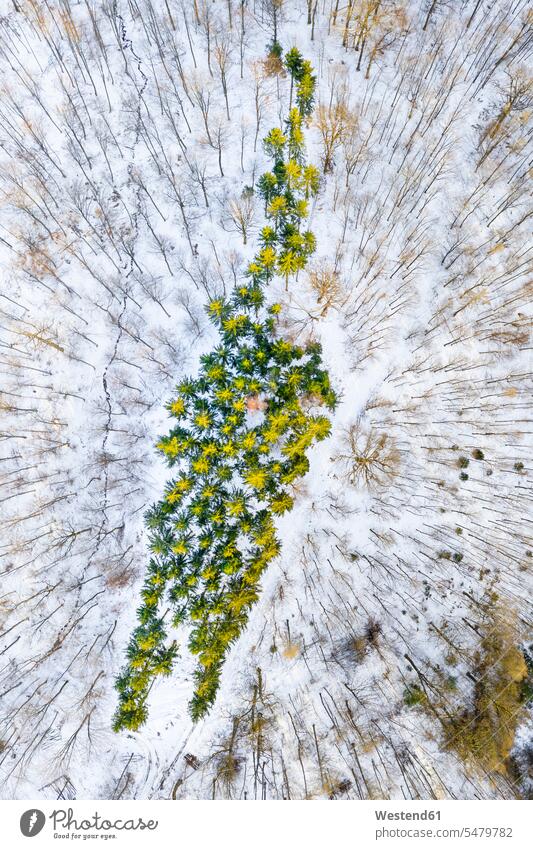 Germany, Baden Wurttemberg, Aerial view of Swabian Forest in winter outdoors location shots outdoor shot outdoor shots Baden-Wuerttemberg Baden-Wurttemberg day