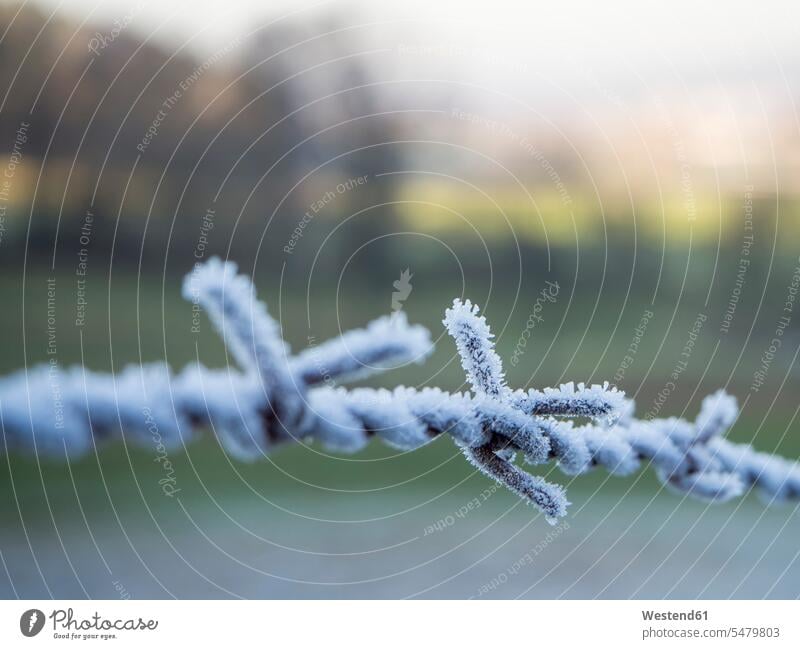 Germany, Close-up of frosted barbed wire nobody Protection protect protecting close-up close up closeup close ups close-ups closeups horizontal