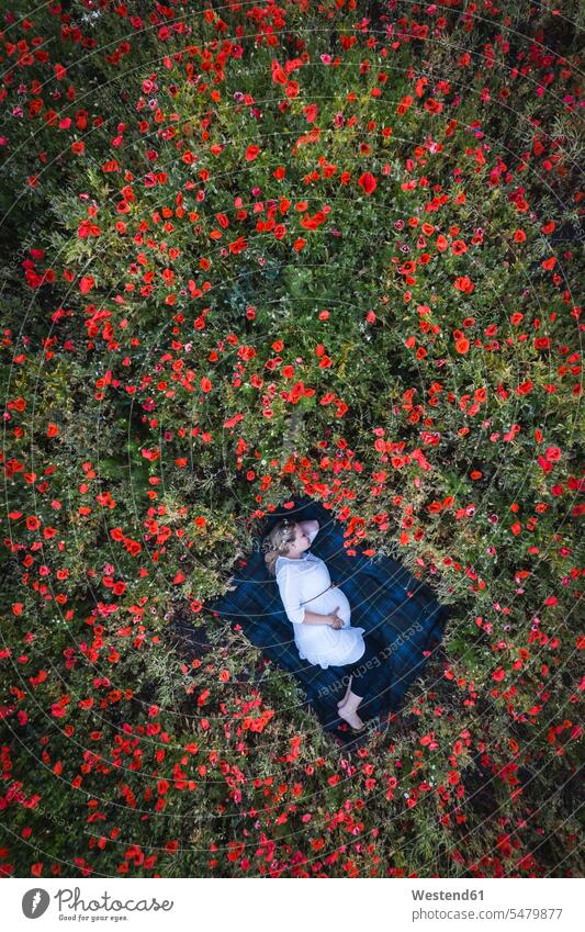 Pregnant mid adult woman sleeping on blanket in poppies field color image colour image Germany leisure activity leisure activities free time leisure time