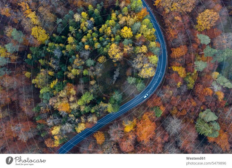 Germany, Bavaria, Drone view of winding country road cutting through autumn forest in Steigerwald outdoors location shots outdoor shot outdoor shots day