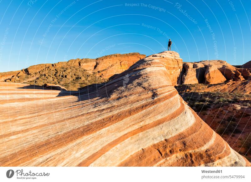 USA, Nevada, Valley of Fire State Park, colored sandstone and limestone rocks, tourist at the Fire Wave one person 1 one person only only one person geology