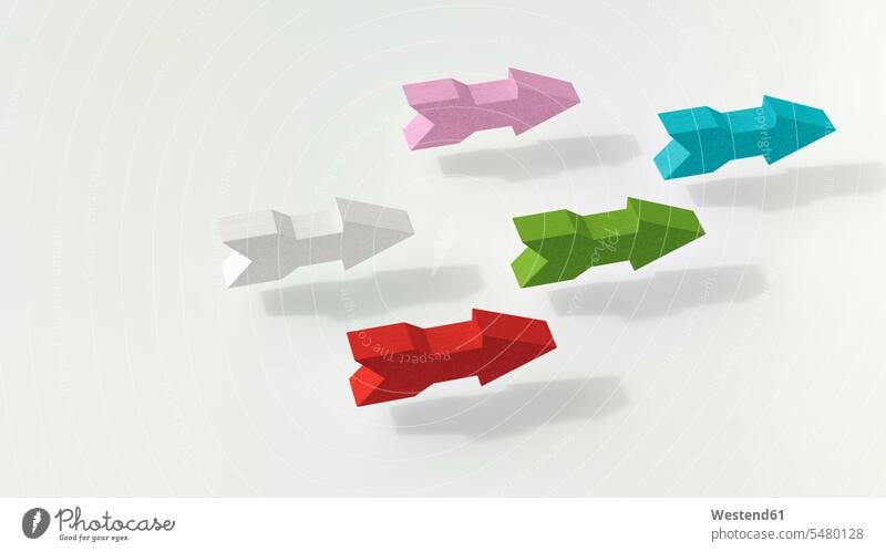 Multicolored arrows pointing in same direction, 3d rendering together individuality Distinct team Unity United divers coloured concept concepts conceptual