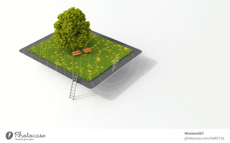 Tablet with tree and benches on meadow, 3D rendering white background online relaxation relaxed relaxing grass Grassy nature natural world empty emptiness