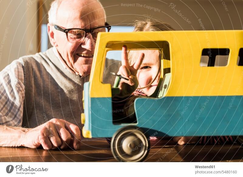 Grandfather and granddaughter assembling toy bus, girl making victory sign playing toys grandfather grandpas granddads grandfathers V sign v-sign tinkering