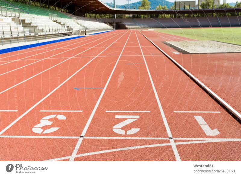 Italy, Florence, track and field stadium athletics track and field athletics athletic sports tartan track nobody built structure buildings built structures