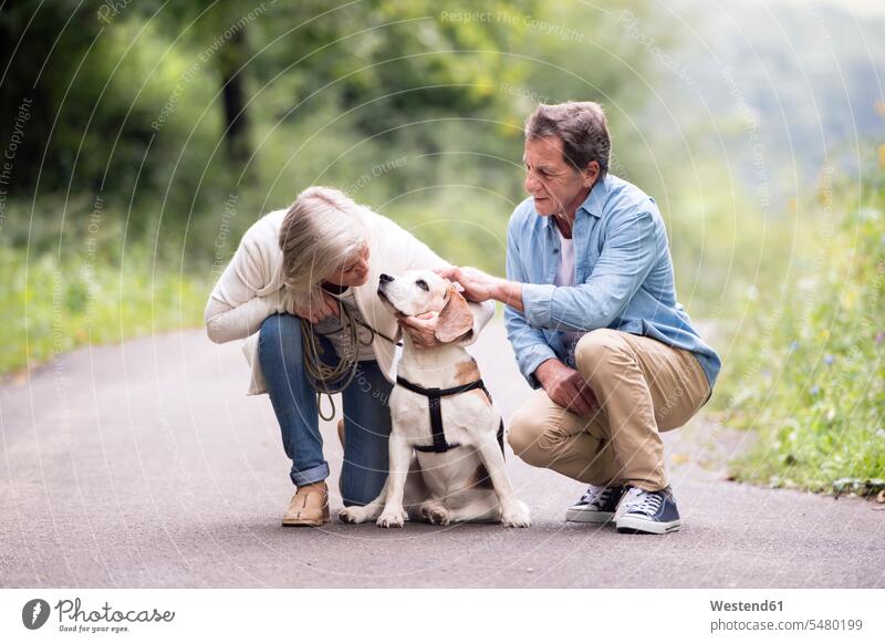 Senior couple with dog in nature twosomes partnership couples dogs Canine people persons human being humans human beings pets animal creatures animals