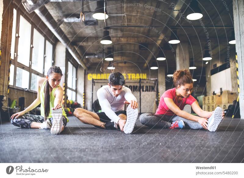Three young people stretching in gym exercising exercise training practising gymnastics Fitness training fitness sport sports gyms Health Club healthy lifestyle