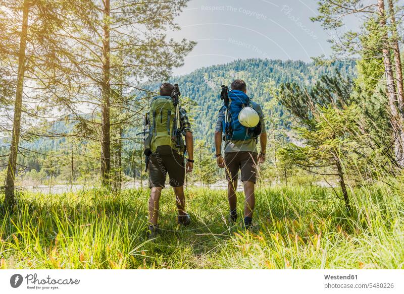 Germany, Bavaria, back view of two hikers with backpacks friends wanderers friendship hiking rucksacks back-packs walking going brother brothers siblings