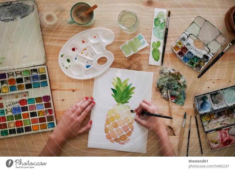 Woman's hand painting aquarelle of a pineapple on desk in her studio Watercolor Painting female artist female artists woman females women worktable work table