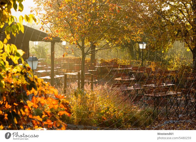 Germany, Bavaria, Tutzing, beer garden Forsthaus Ilkahoehe, autumn morning atmosphere atmospheric mood moody Atmospheric Mood Vibe Idyllic Absence Absent empty