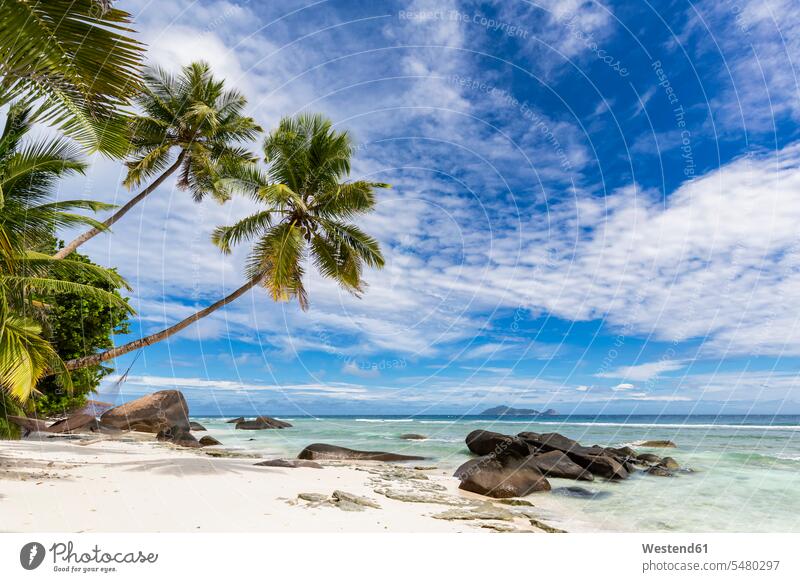 Seychelles, Silhouette Island, Beach La Passe, Presidentel Beach, palm with hammock nobody outdoors outdoor shots location shot location shots relaxation