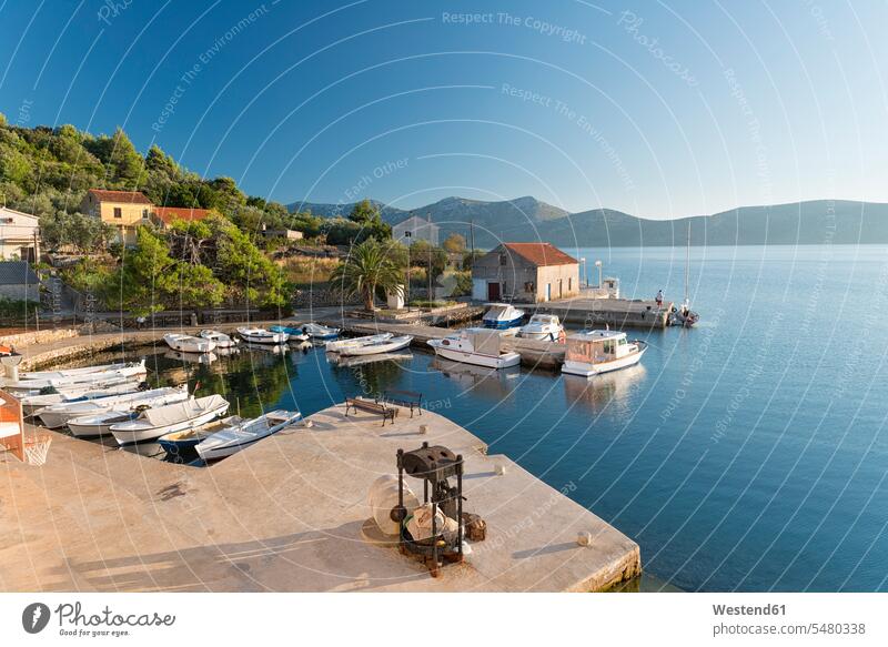 Croatia, Dalmatia, Harbour of Mala Rava with view of Dugi Otok Island day daylight shot daylight shots day shots daytime olive press outdoors outdoor shots
